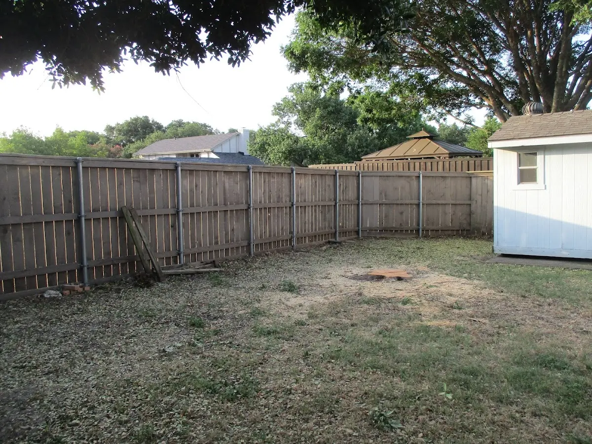 Cleared yard after professional tree removal in Clifton Heights