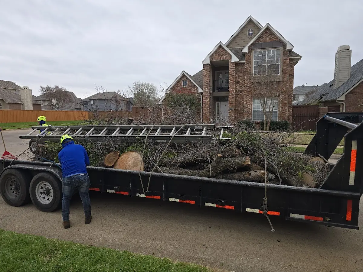 Expert Tree Pest Control with proper safety equipment in Clifton Heights